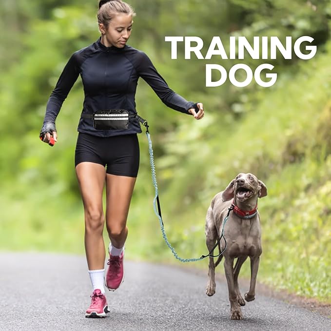 Hands Free Dog Leash with Pouch,Double Leash for Two Dogs