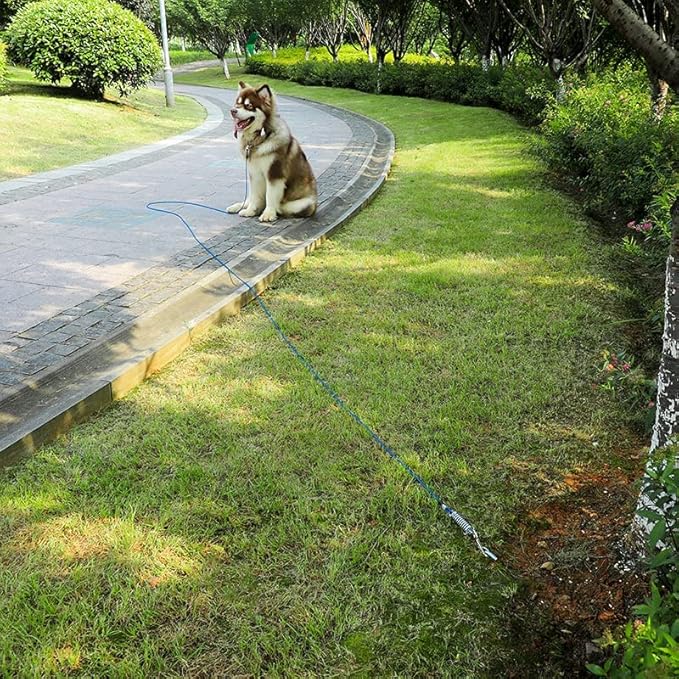 Tie Out Cable for Dog,100FT Dog Leads with Swivel Hook and Shock Spring,Heavy Duty Tie Out Cable for Large Dogs Up to 125lbs,Durable Dogs Runner Tether Line for Outdoor,Yard