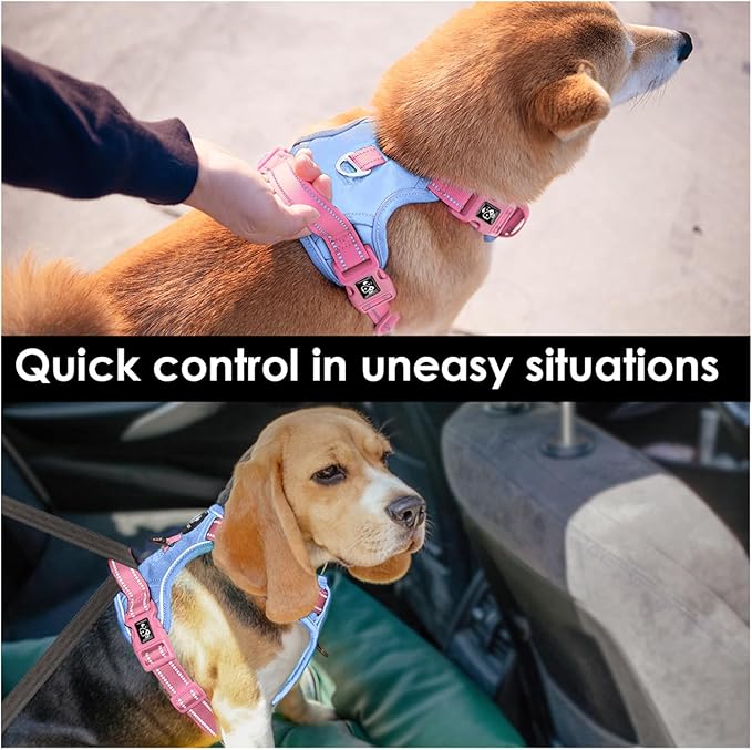 PHOEPET No Pull Dog Harness, Unique Colors Reflective Adjustable Dog Vest, with Soft Training Handle Metal Clips for Small Medium Large Dogs (Baby Blue Base & Pink Straps,XL)