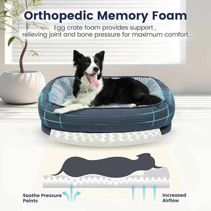 Orthopedic Cat Beds for Indoor Cats, Egg-Crate Memory Foam Pet Sofa with Bolster Sides, Oval Crate Bed, Washable Removable Cover & Non-Slip Bottom, Haze Blue
