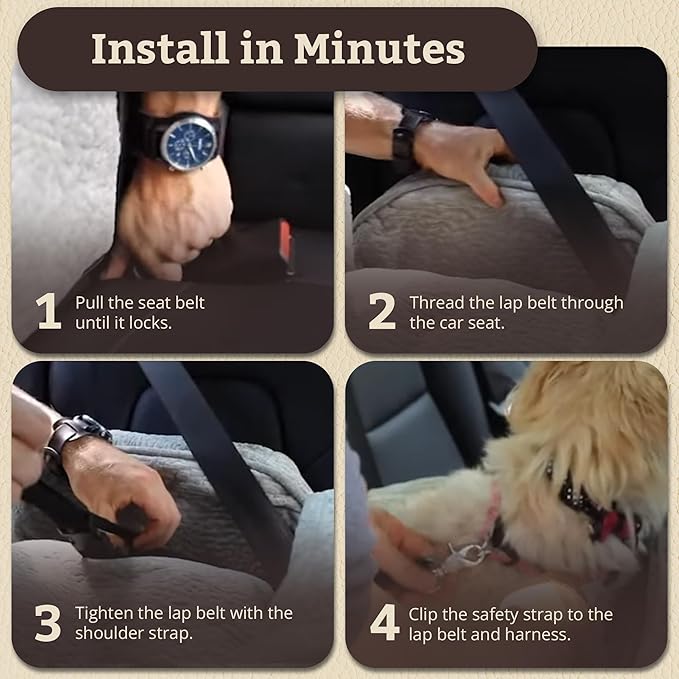 Snoozer Lookout I Dog Car Seat - Small Dog & Puppy Car Seat, Booster Bed for Small and Medium Size Pets up to 25 Lbs, Elevated, Washable - Medium