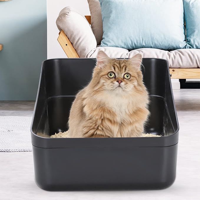 Sfozstra Open Top Litter Box: Black Medium Size with High Sides & Anti Leak Design, Easy Clean Litter Pan for Home Cats