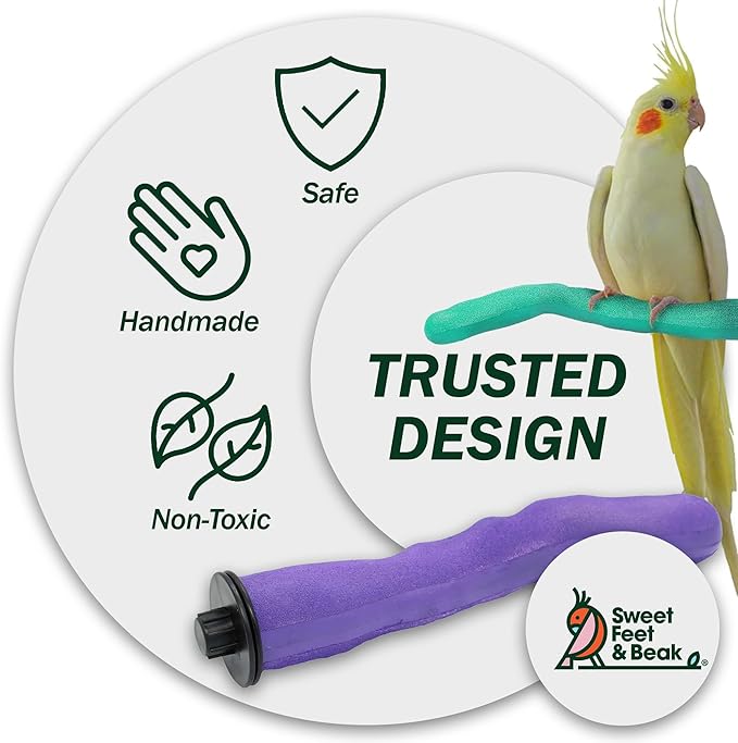 Sweet Feet & Beak Safety Pumice Bird Perch, Medium 1-1/4" X 12", Green - Lightweight Grinding Bird Perches for Cage - Bird Nail Trimming Perch for Healthy Beak & Feet - Multi-Size & Color Parrot Stand