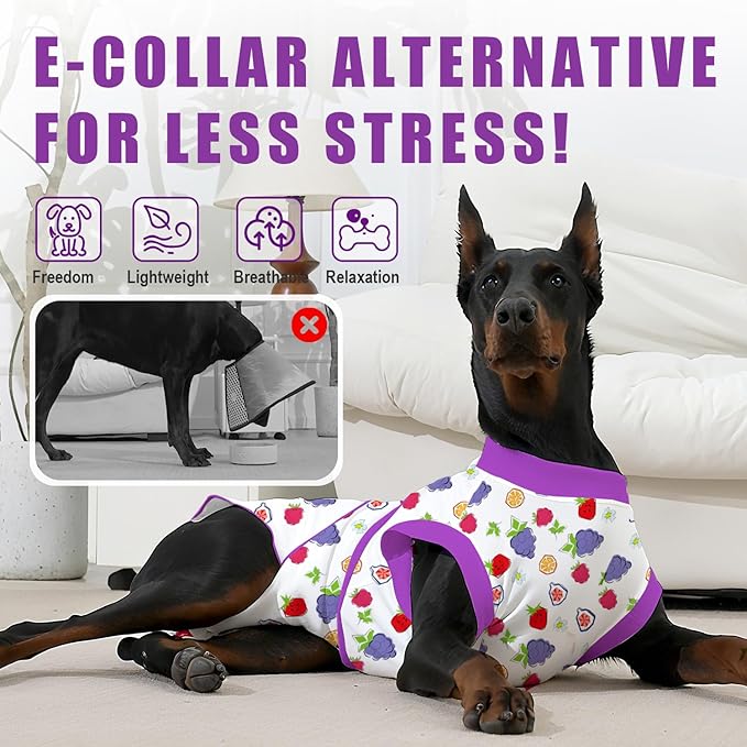 Recovery Suit for Dogs After Surgery, Professional Dog Surgical Suit for Female Spay, Male Neuter, E-Collar & Cone Alternative Dog Onesie for Abdominal Wounds Skin Disease, Purple, XS