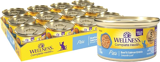 Wellness Complete Health Pate Adult Wet Cat Food, Natural, Protein-Rich, Grain Free, 3 Ounce, 24 Pack, (Beef & Salmon)
