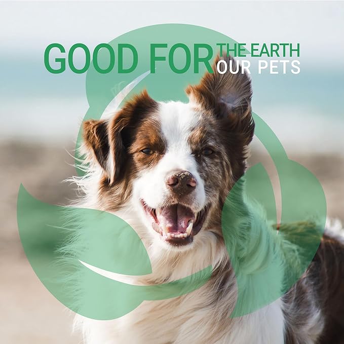 Green Groom Oatmeal Dog Shampoo, 1 Gallon - Natural Colloidal Oatmeal, Calms Dry Itchy Irritated Skin, Natural Ingredients, Moisturizes and Soothes The Skin and Coat, Professiona Grooming Grade