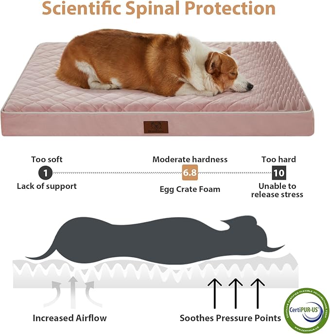 WNPETHOME Orthopedic Dog Bed Medium Size Dog, Waterproof Medium Dogs Bed with Removable Washable Cover, Multi-Needle Quilting Dogs Crate Bed