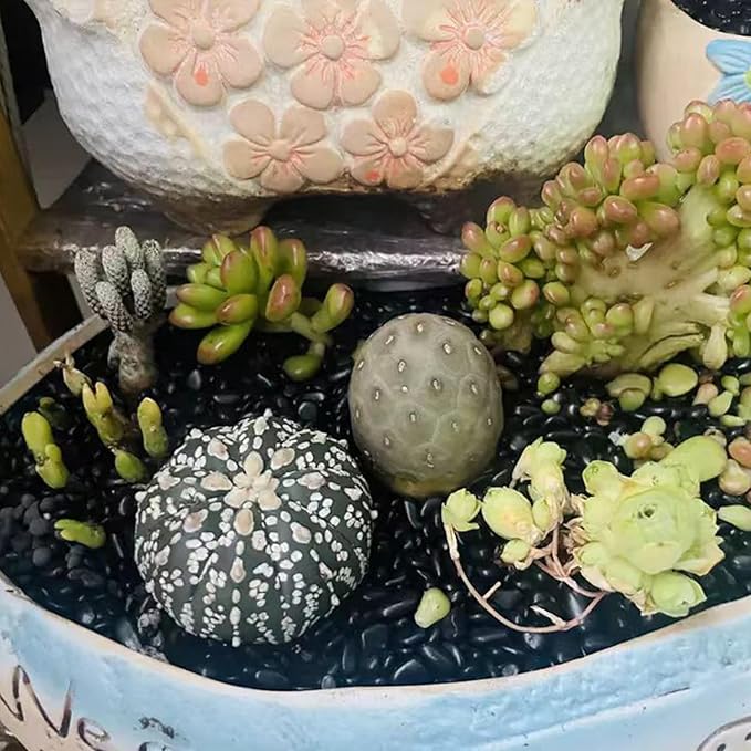 5 lbs Small Black Pebbles - 3/8 inch Decorative Stones for Indoor Plants, Outdoor, Vase, Landscaping & Garden