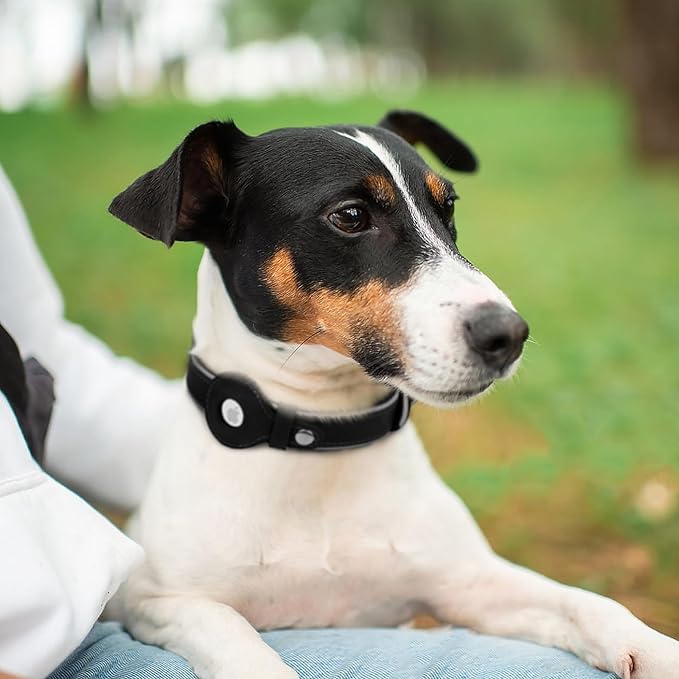 OOPSDOGGY Reflective Geniune Leather Airtag Dog Collar Soft Padded Collars for Small Medium Large Breed Dogs Puppy, 4 Sizes, 7 Colors (Black, Small, 9"-12")