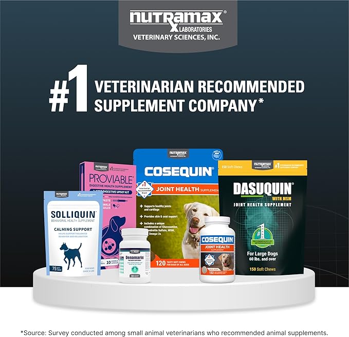 Nutramax Dasuquin for Small to Medium Dogs, Joint Health Supplement, Contains Glucosamine for Dogs, Plus Chondroitin, ASU and More, Supports Healthy Joints, Soft Chews, 84 Count
