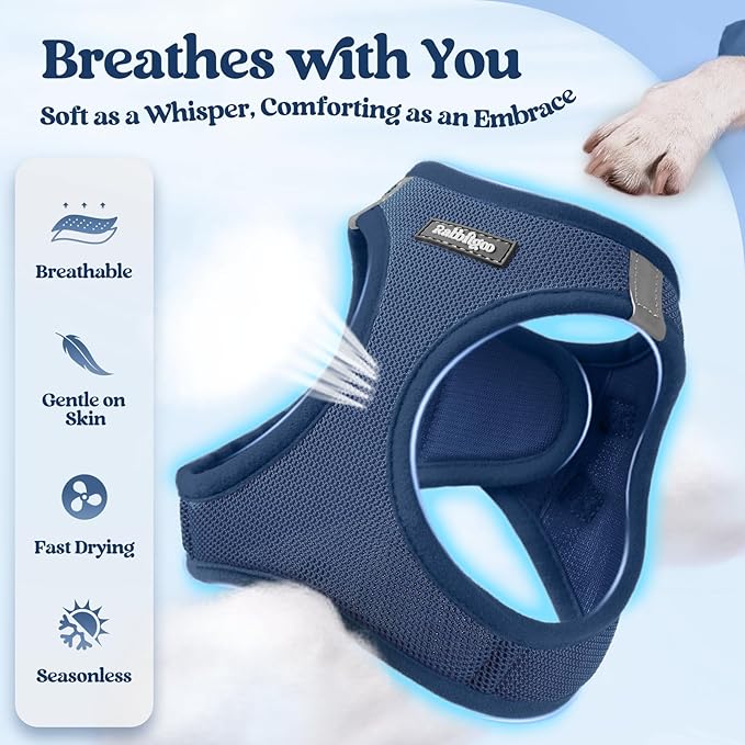 rabbitgoo Dog Harness Small Sized and Leash Set, Step in Soft Light Puppy Vest, Breathable Mesh Pet Harness, Reflective for Outdoor Safe Walking, Navy Blue XXXS