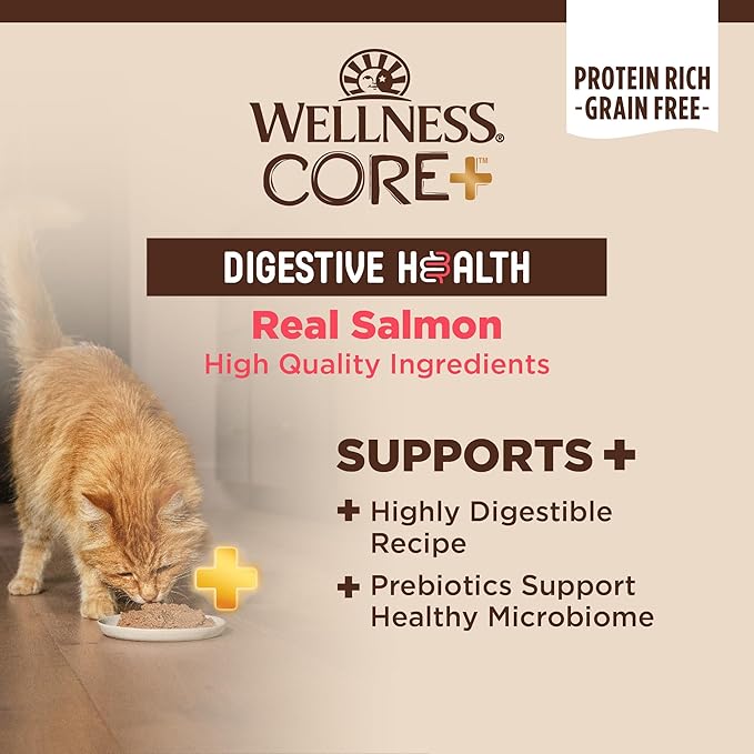 Wellness CORE+ Digestive Health Pate Adult Wet Cat Food, Natural, Protein-Rich, Grain Free, 3 Ounce, 12 Pack (Salmon)