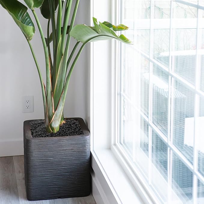 Mr. Fireglass 10 lbs Black Pebbles, 3/8" Natural Decorative Polished River Rocks Aquarium Gravel for Indoor Plants, Vases, Succulents and Outdoor Garden Landscaping