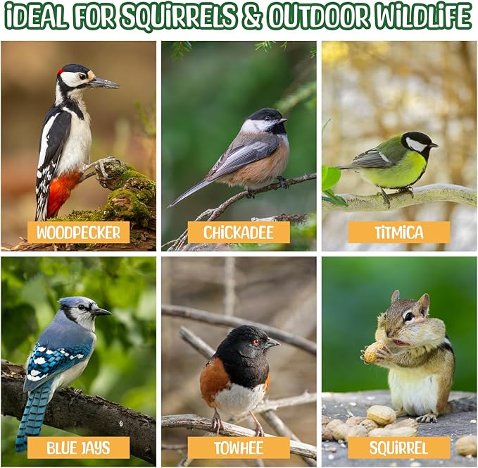 Premium Quality- 25 Pound Raw Peanuts in Shell – All-Natural Food for Squirrels, Deer, Birds, and Other Wildlife Animals – Bulk Wholesale Bag – Grown in The USA for Healthy Nutrition