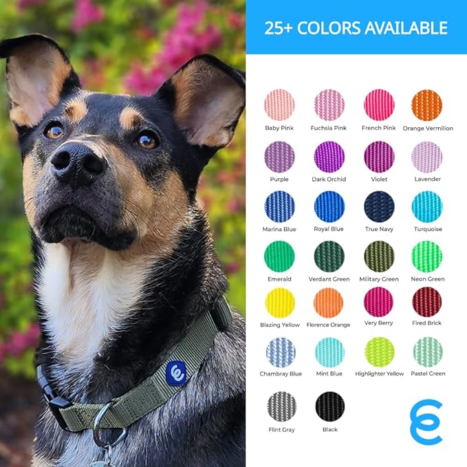 Blueberry Pet X-Small Adjustable Boy Dog Collar | for Male Dog, Durable & Quick Release for Pet Owners