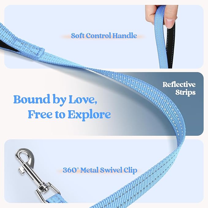 rabbitgoo Dog Harness Small Sized and Leash Set, Step in Soft Light Puppy Vest, Breathable Mesh Pet Harness, Reflective for Safe Easy Walking, Blue & Orange S