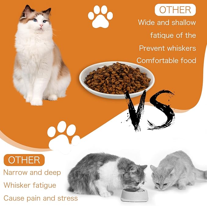 6 Pack Cat Food Bowl, Ceramic Cat Bowls, Anti Whisker Fatigue Cats Bowl Set, 5.9 Inches Shallow Wide Kitten Plates for Food and Water