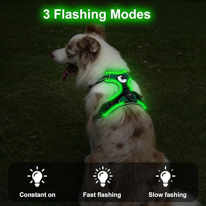 Taglory Light Up Dog Harness, Rechargeable No Pull Dog Vest with 3 Lightning Modes, Reflective Dog Harness with 2 Leash Clips & 4 Adjustable Slide Strips for Large Dogs, Turquoise-Green, L