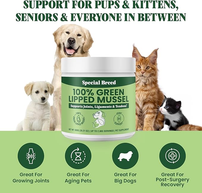 Green Lipped Mussel Powder for Dogs & Cats - 100% New Zealand Green Lipped Mussels - Natural Hip & Joint Supplement for Joints, Tendons, Ligaments, Muscles - 800 Grams - Up to 2,665 Servings