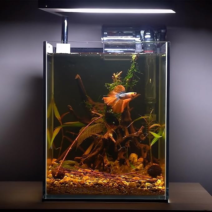 majoywoo Natural Small Driftwood for Aquarium Decor Fish Tank Decorations, Assorted Spider Wood Branch 2-4.5" 10 Pcs, Reptile Decor