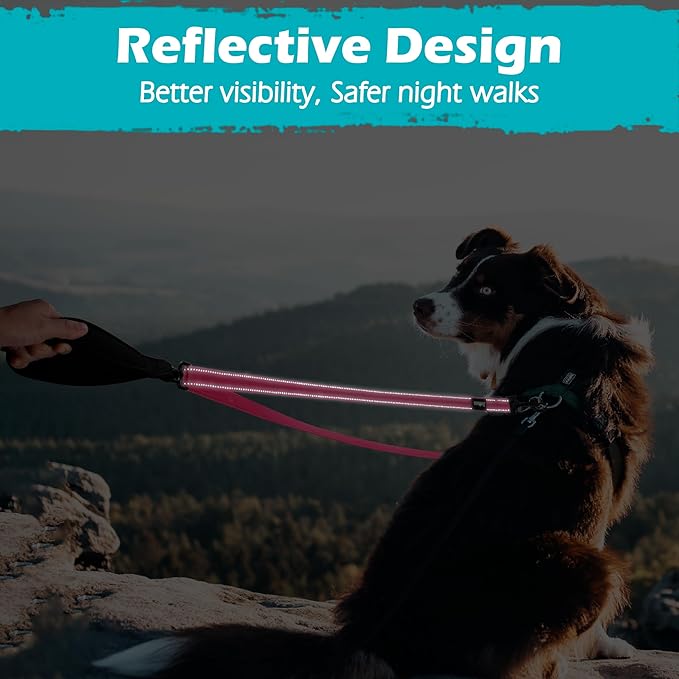 PetBonus Two Point Control Dog Leash, Works with No Pull Harnesses, No Tangle Training Leashes, Soft Padded and Reflective Walking Lead, Converts to Single Lead for Medium Large Dogs (Pink)