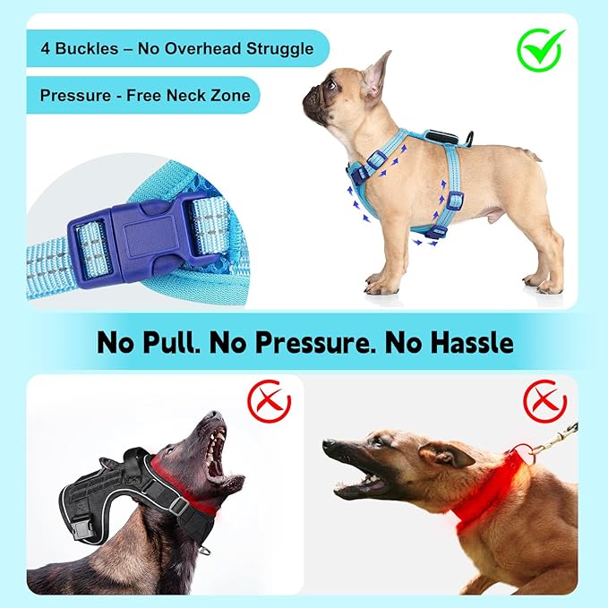 Rechargeable Light Up Dog Harness for Small Dogs – Adjustable LED Dog Vest with Reflective Strips, No Pull Glow in The Dark Puppy Harness for Night Walking Safety-Blue