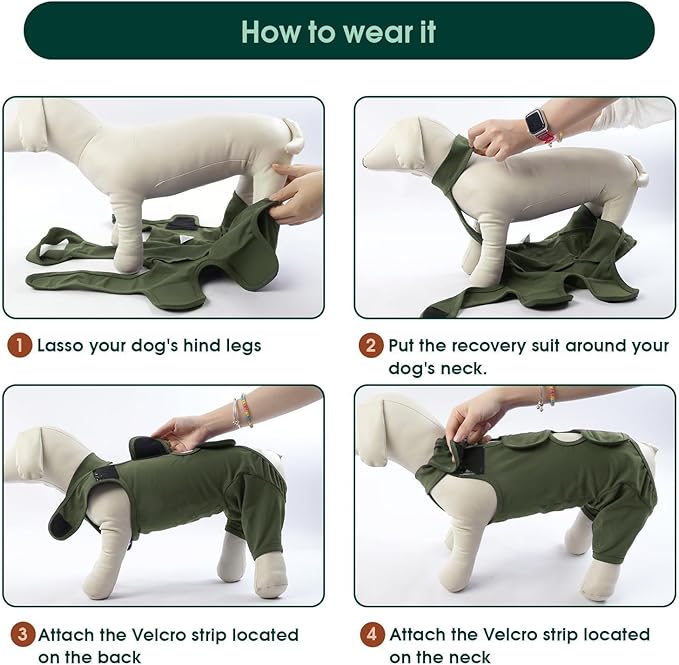 Kuoser Dog Surgery Recovery Suit, Thigh Wound Protective Sleeve for Dogs, Dog Recovery Sleeve for Female Male Dogs, Pet Surgical Suit for Spay Neuter, Dog Onesie After Surgery, Green XXL