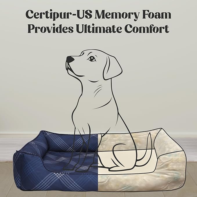 Orthopedic Bolster Dog Bed – CertiPUR-US Foam, Recycled Polyester Canvas, Washable Cover, Anti-Slip Bottom, Large, Light Blue Check – Stylish Designer Dog Sofa