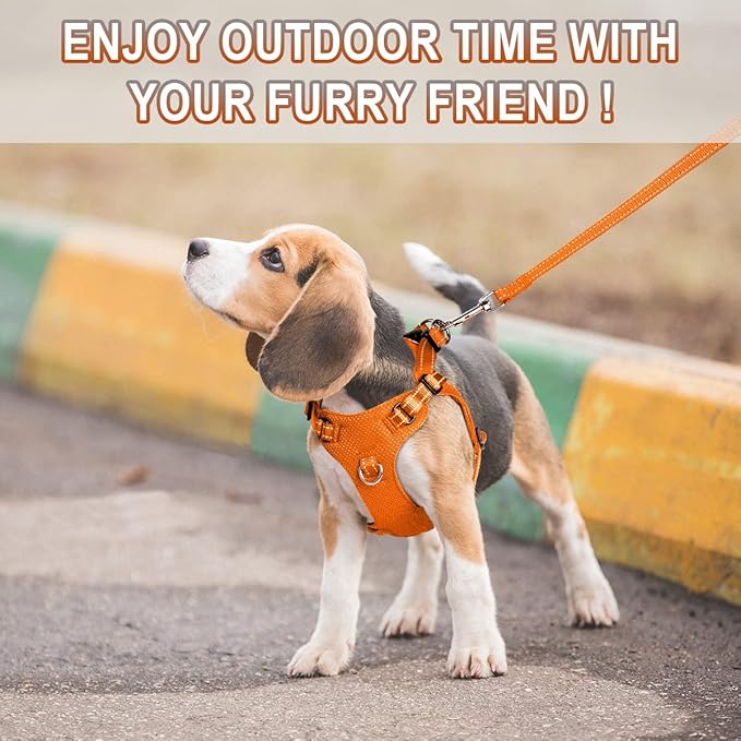 Dog Harness Step in Dog Vest Harness, Reflective Adjustable Puppy No Pull Harness Breathable Soft for Small and Medium Dogs Cats, Orange, XXS