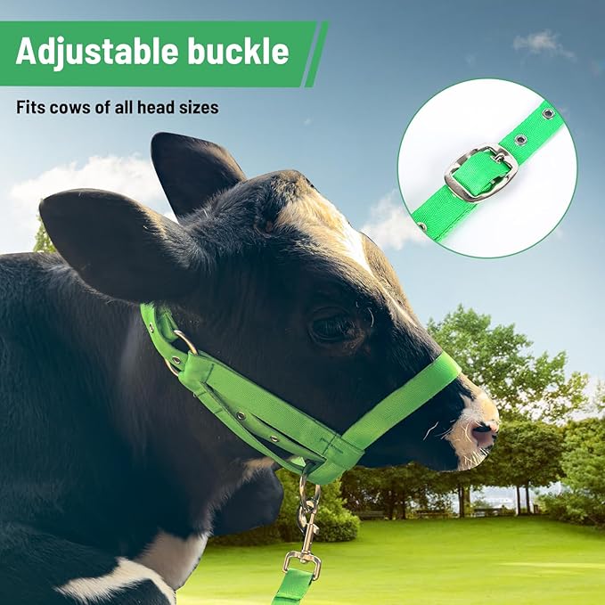 XUANNIAO Easily Adjustable Figure 8 Cow Halter, Double-Ply Premium Livestock Cattle Halters, Colorful Cow Utility Calf Halter with Leading Rope for Miniature Horse Donkey Goat Foal (Small, Green)