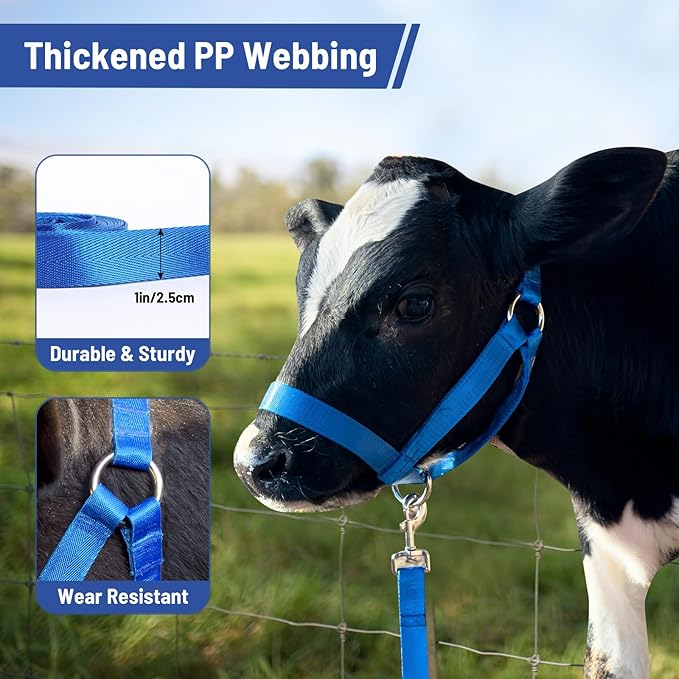 XUANNIAO Easily Adjustable Figure 8 Cow Halter, Double-Ply Premium Livestock Cattle Halters, Colorful Cow Utility Calf Halter with Leading Rope for Miniature Horse Donkey Goat Foal (Small, Black)