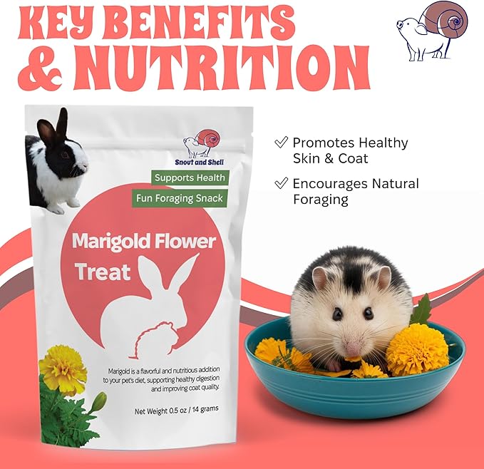 Snout and Shell Marigold Flower Treat for Small Pets – Organic, Healthy Digestive Support – Fun Foraging Snack for Rabbits, Guinea Pigs, Chinchillas, and More – 0.5 oz / 14g