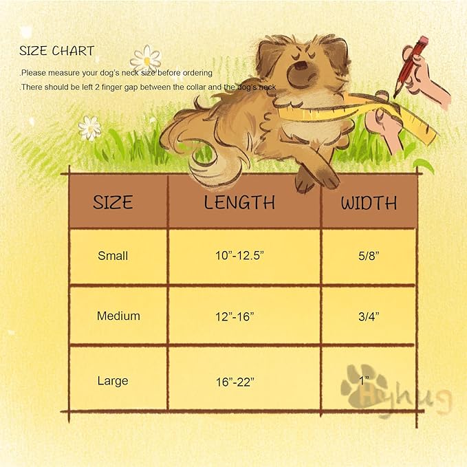 Hyhug Pets Solid Color Classic Regular Heavy Duty Basic Collar for Small Dogs, Unique Design Adjustment Triglide Slide (Buckle) Can Attached Name Tag Accessories. (Small, Sleet Gray)