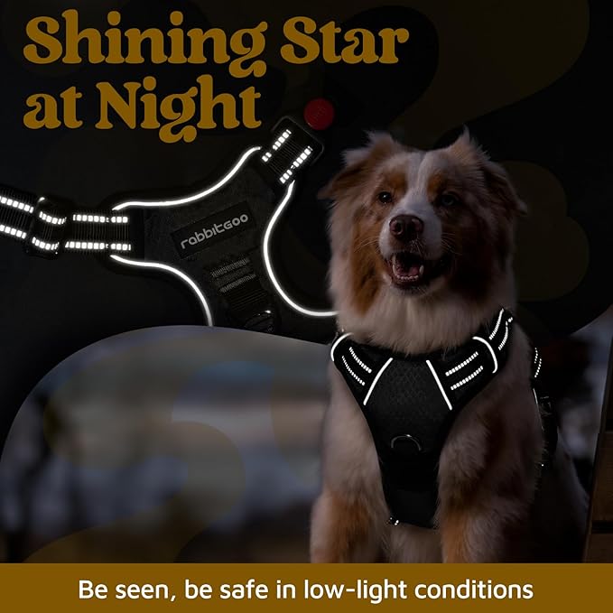 rabbitgoo Dog Harness Small Sized, No Pull Dog Vest with 3 Buckles, Adjustable Soft Padded Pet Harness with Easy Control Handle and Reflective Strips, Black, S