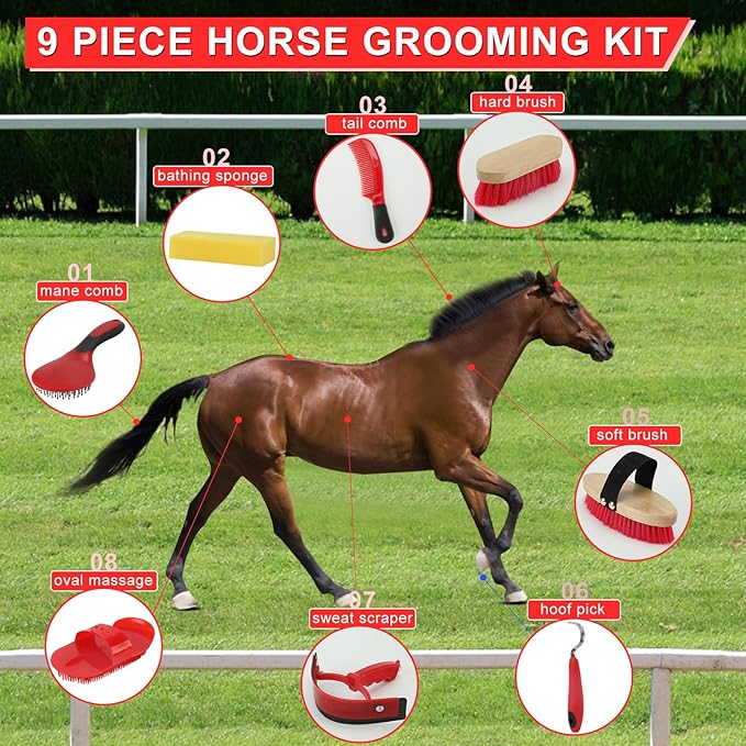 9 Pieces Grooming Kit with Tote Bag - Brush Set, Sweat Scraper, Sponge, Hoof Pick, Curry Comb for Horse Riders and Beginners (Red)