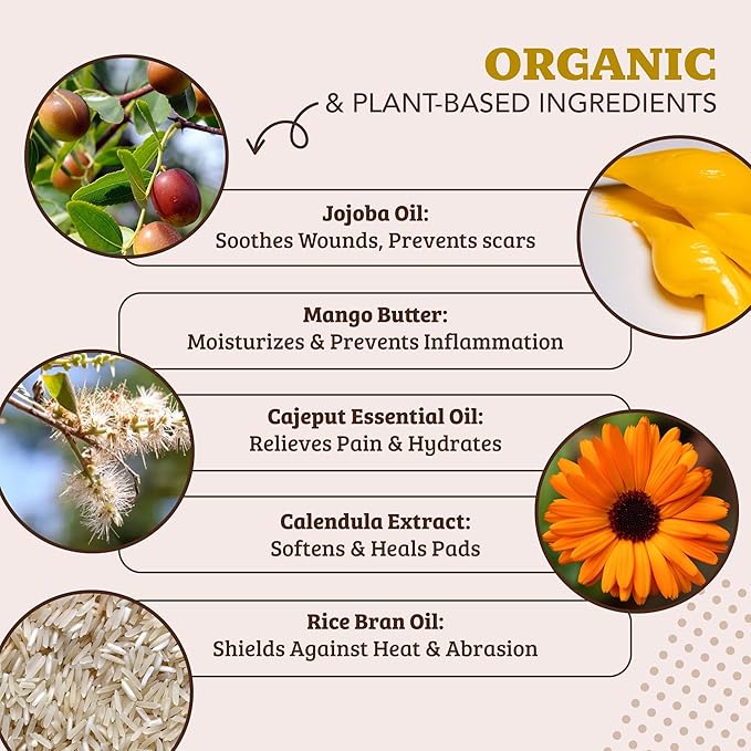 Natural Dog Company Paw Soother Balm for Dogs 0.15 oz Stick, Organic Soothing & Moisturizing Relief for Dry, Cracked Paws, Winter Healing Relief, Gentle & Lick-Safe