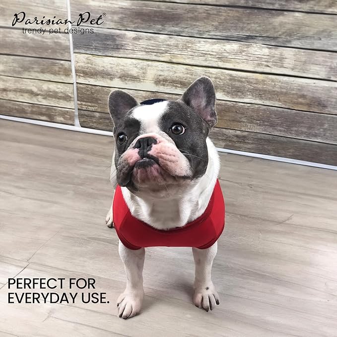 Champion Red Tank by Parisian Pet