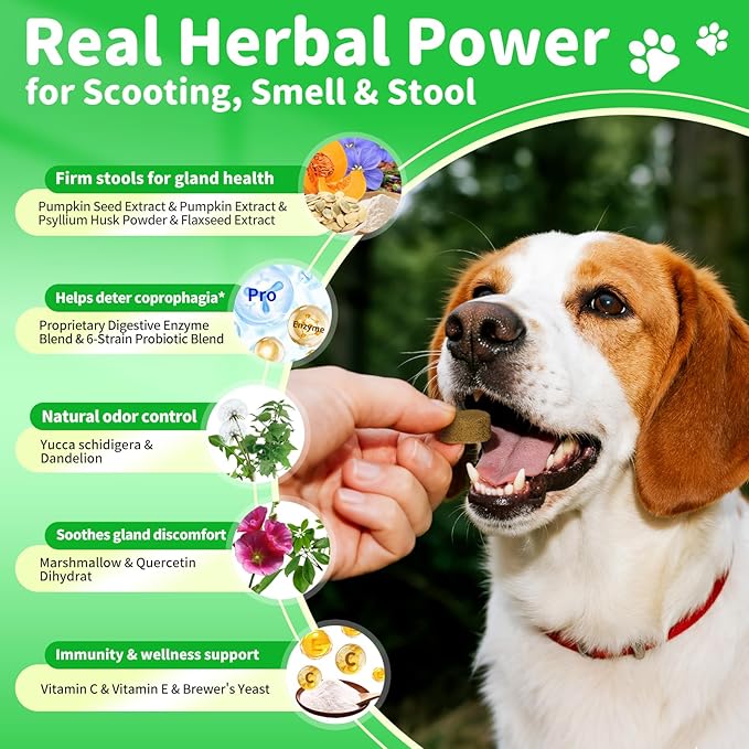 Premium Dog Digestive Enzymes and Probiotics with Pumpkin for Gut Health Support - Daily Chews for Digestion & Gas Relief - Chicken Flavor-90 Count