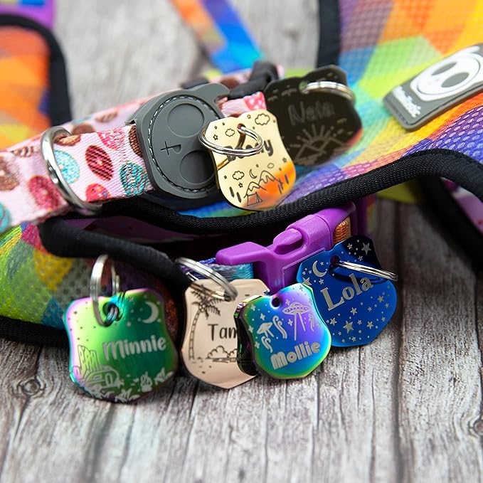 Personalized Dog Tag with 5 Lines of Custom Deep Engraved Durable Stainless Steel Pet ID Name Tag Designer Regular Size Badge