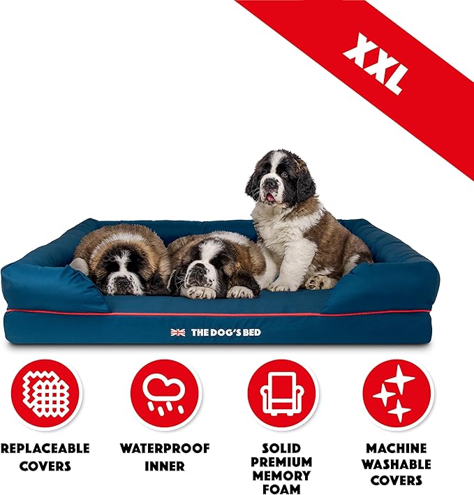 The Dog’s Bed Orthopedic Dog Bed XXL Blue Oxford with Red Trim UK Flag Dog Bed 51.5x39, Memory Foam, Pain Relief: Arthritis, Post Surgery, Lameness, Veterinary Approved, Waterproof Washable Cover