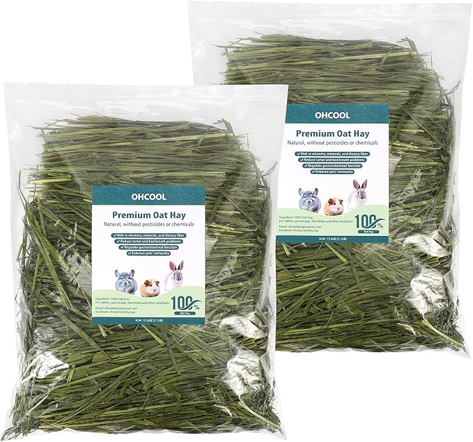 Premium Oat Hay for Pets - Dust Free Natural Green Fresh Pet Food Hay for Rabbits, Guinea Pigs, Chinchillas, Hamsters & Gerbils - 2.2lbs