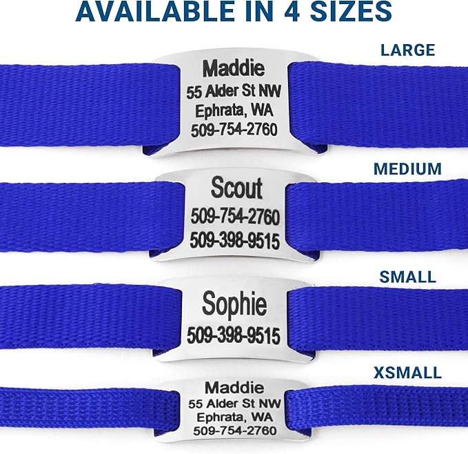 GoTags Personalized Dog Collar with Nameplate, Adjustable Dog Collar with Custom Engraved Slide On Pet ID Tag in Stainless Steel, Silent, No Noise Dog Tag for Large Medium and Small (Blue, Large)
