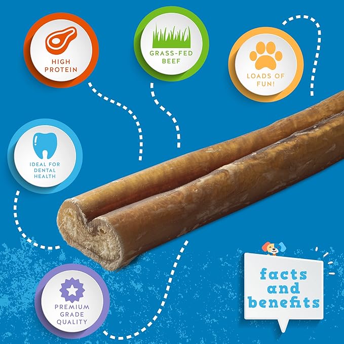 Jack&Pup 6-inch Pizzle Sticks for Dogs (12 Pack) All Natural Jumbo Bully Sticks | Long Lasting Bully Sticks for Medium Dogs