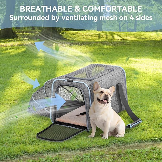 Petsfit Expandable Pet Carrier, 19x12x12 inches Soft-Sided Portable Cat Carrier Dog Carrier, with Removable Plush Mat, Locking Safety Zippers and Pockets