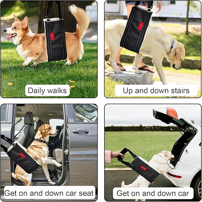 Dog Lift Harness - Adjustable Sling for Rear Legs with Soft Support for Senior, Injured, Disabled Dogs After ACL Surgery - Helping Pets with Canine Aid and Rehab Support (M)