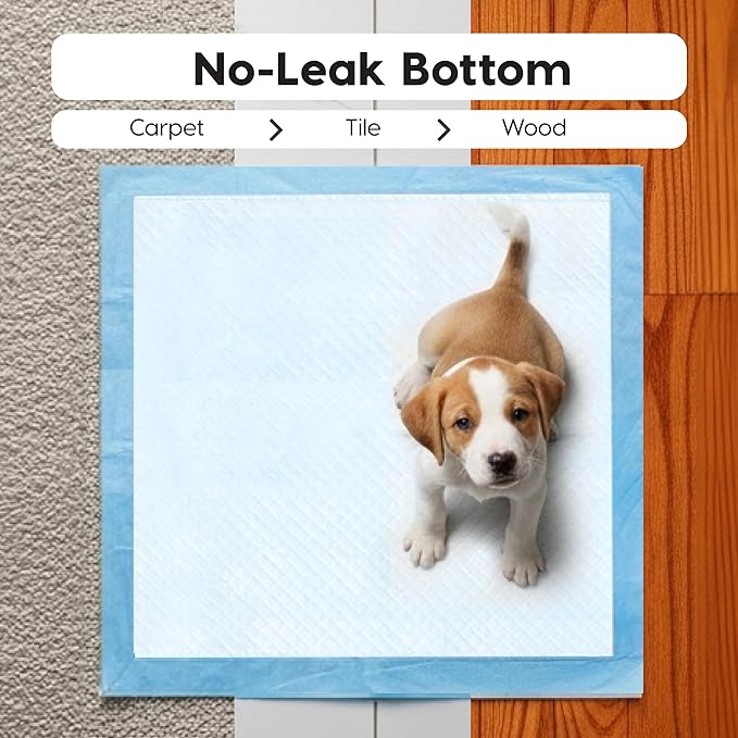 IRIS USA Dog Pee Pads – Puppy Essentials, Dog Pads, Quick Dry, Leak Proof, Thick Absorbent 6-Layer Design for Potty Training, Regular Size 22" x 22", 100 Count