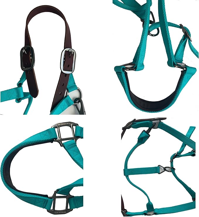 Majestic Ally Leather Halter with Matching Lead Rope for Horses – Leather Breakaway Crown - Adjustable Chin Strap – Rolled Throat Latch – Padded Noseband – Full (Purple, Full)