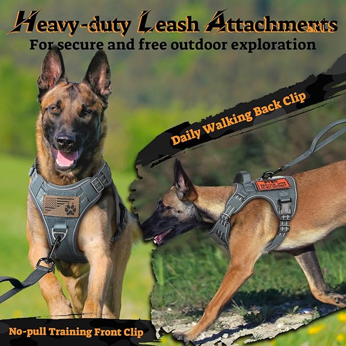 rabbitgoo Dog Harness Medium Sized No Pull, Tactical Service Pet Vest with Molle and Control Handle, Adjustable and Reflective Military Harness for Easy Walking and Training, Grey, M