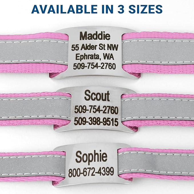 GoTags Reflective Personalized Dog Collar with Nameplate, Adjustable Dog Collar with Custom Engraved Steel Slide On Pet ID Tag, Silent, No Noise Dog Tag for Large Medium or Small (Pink, Small)