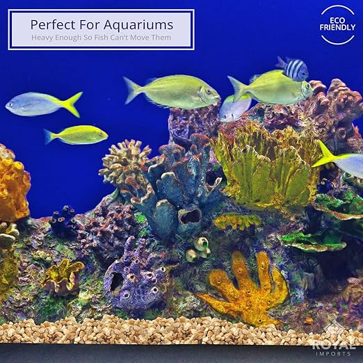 Royal Imports 5LBS River Pebbles Decorative Ornamental Rocks, Garden Landscaping Stones, Gravel Filler for Plants, Vases, Succulents, Home Decor, Aquariums, Crafting, Animal Habitat - Mini Natural